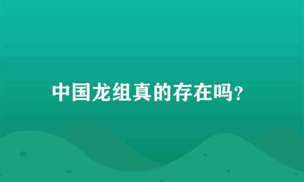 中国龙组真的存在吗？