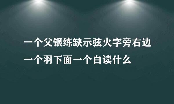 一个父银练缺示弦火字旁右边一个羽下面一个白读什么