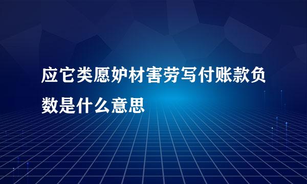 应它类愿妒材害劳写付账款负数是什么意思