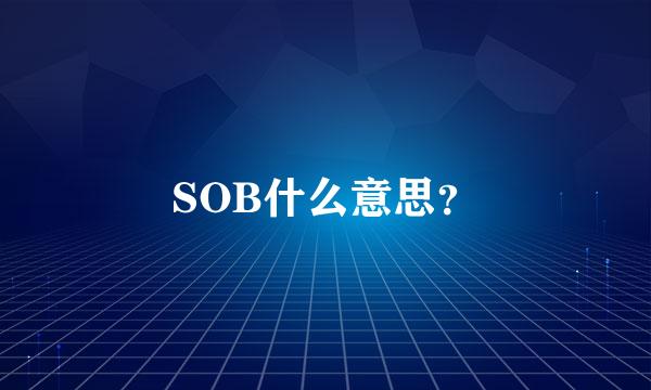 SOB什么意思？