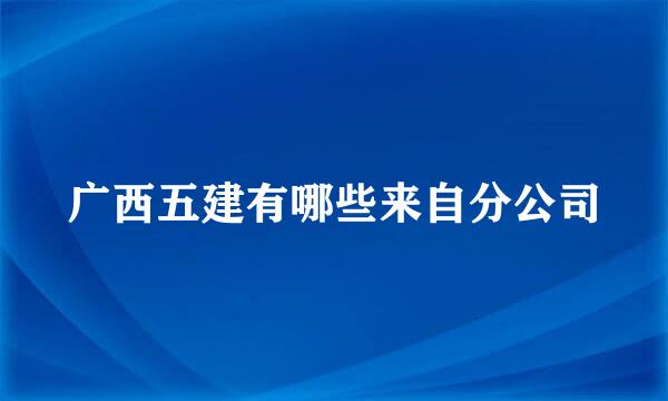 广西五建有哪些来自分公司