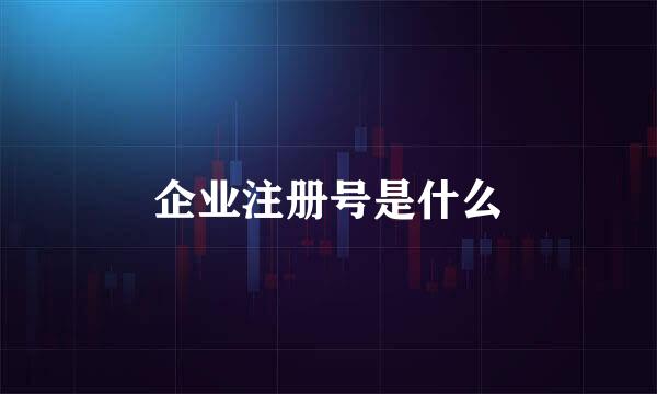 企业注册号是什么