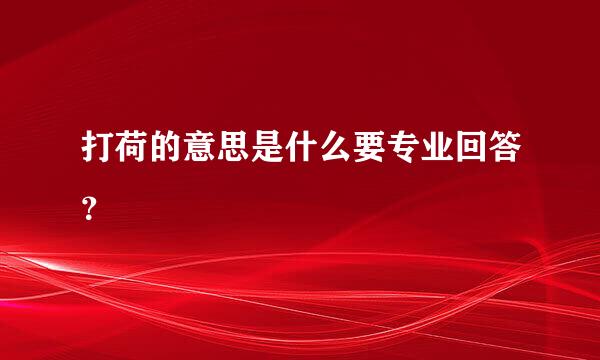 打荷的意思是什么要专业回答？