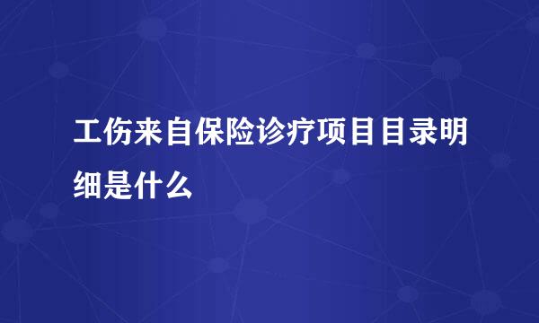 工伤来自保险诊疗项目目录明细是什么