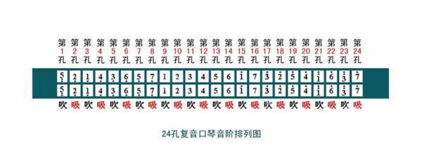 24孔复音口琴和28孔复音口琴的对照图