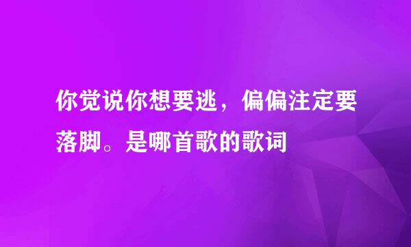 你觉说你想要逃，偏偏注定要落脚。是哪首歌的歌词