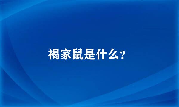 褐家鼠是什么？