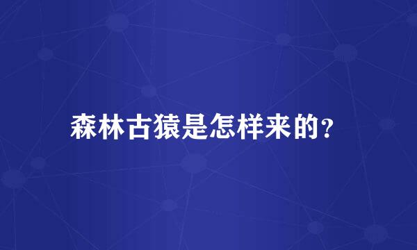 森林古猿是怎样来的？