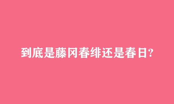 到底是藤冈春绯还是春日?