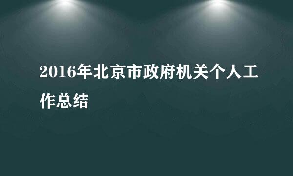 2016年北京市政府机关个人工作总结