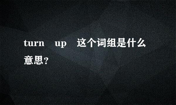 turn up 这个词组是什么意思？