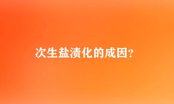 次生盐渍化的成因？