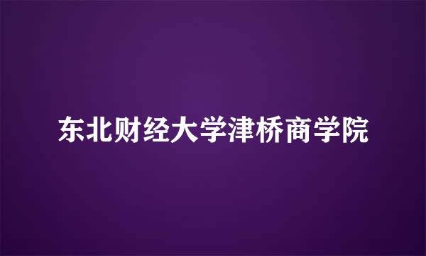 东北财经大学津桥商学院