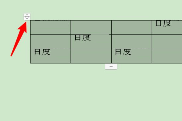 word表格文字显示不全