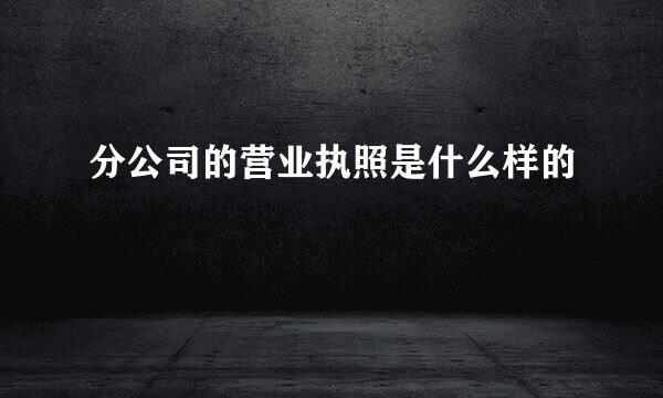 分公司的营业执照是什么样的