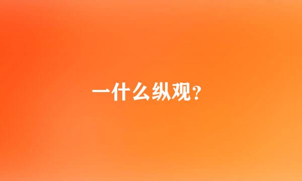 一什么纵观？