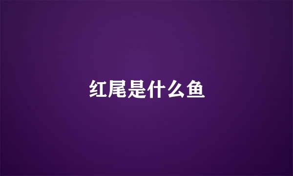 红尾是什么鱼