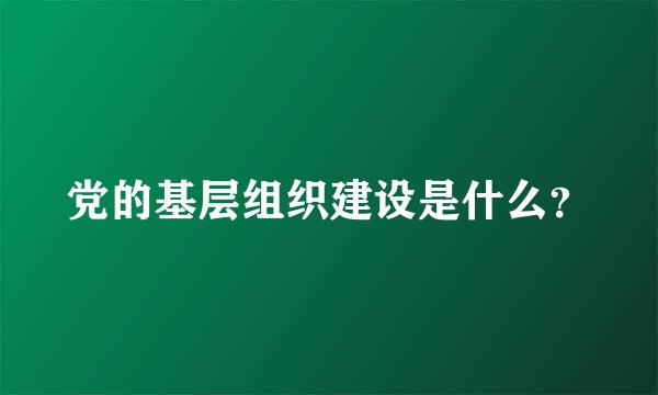 党的基层组织建设是什么？