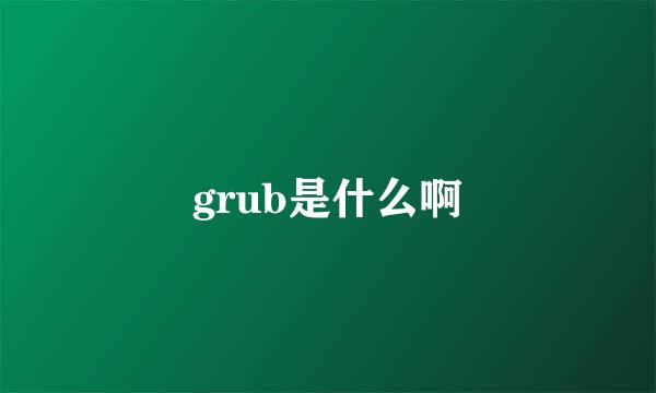 grub是什么啊