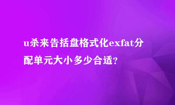 u杀来告括盘格式化exfat分配单元大小多少合适？