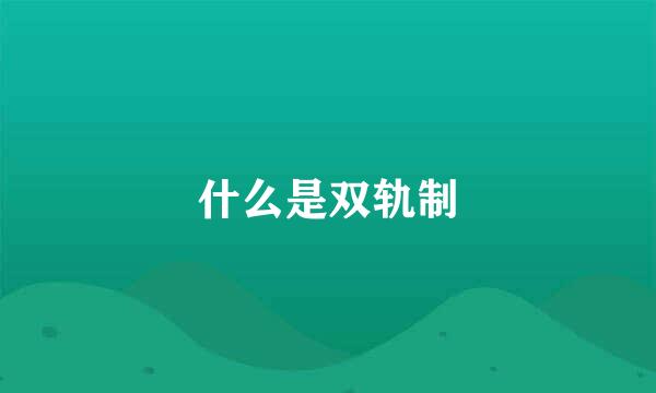 什么是双轨制