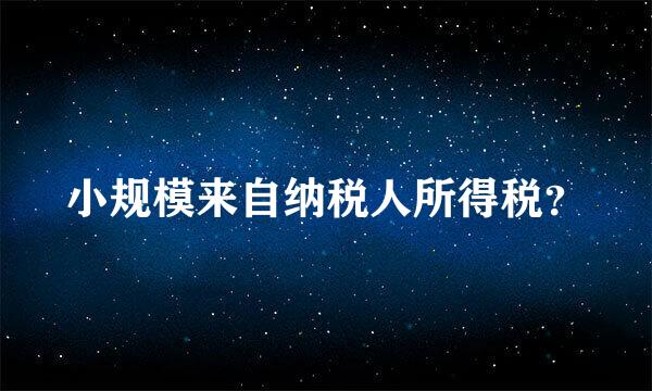 小规模来自纳税人所得税？