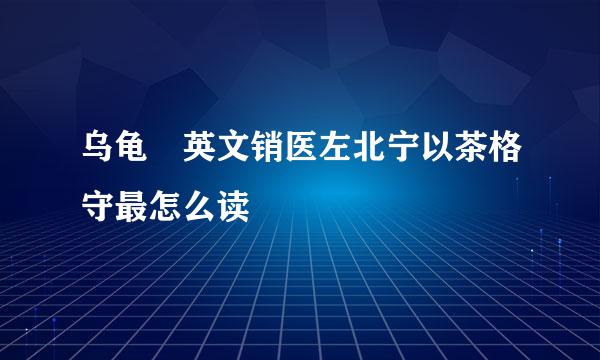 乌龟 英文销医左北宁以茶格守最怎么读