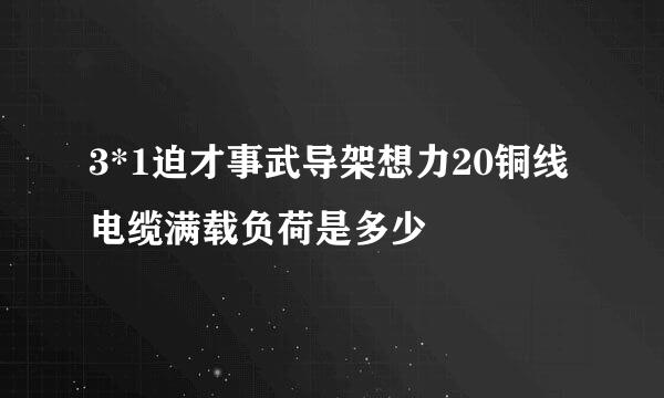 3*1迫才事武导架想力20铜线电缆满载负荷是多少