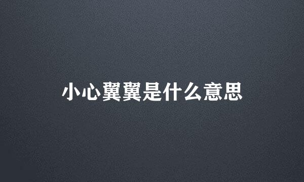 小心翼翼是什么意思