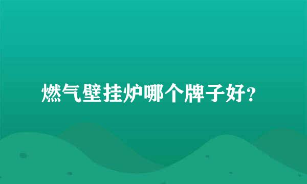 燃气壁挂炉哪个牌子好？