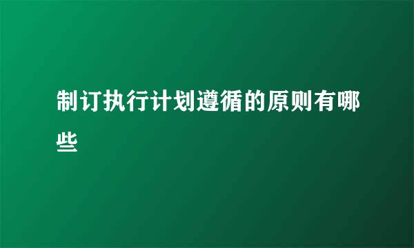 制订执行计划遵循的原则有哪些