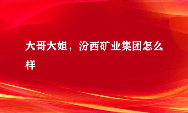 大哥大姐，汾西矿业集团怎么样