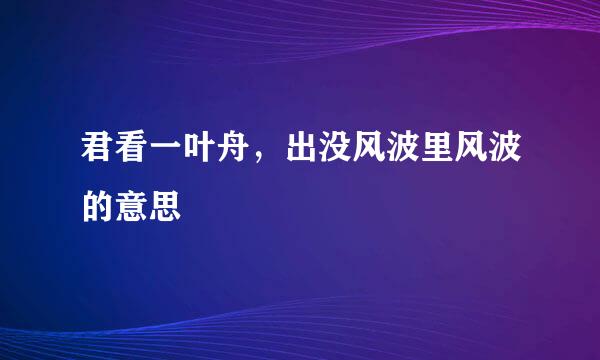 君看一叶舟，出没风波里风波的意思