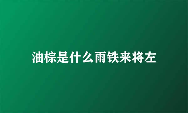 油棕是什么雨铁来将左