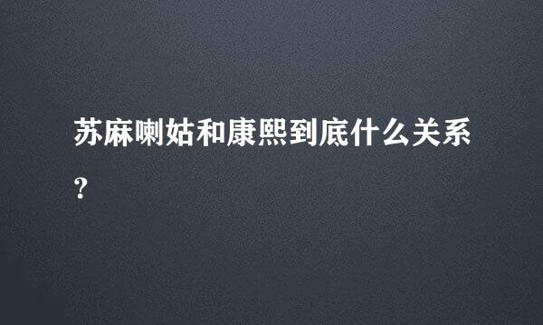 苏麻喇姑和康熙到底什么关系？