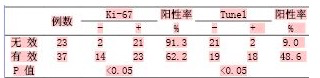 免疫组Ki－67约60％肿瘤细胞＋什么意思