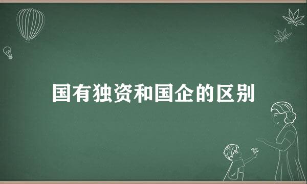 国有独资和国企的区别