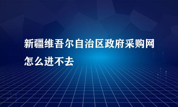 新疆维吾尔自治区政府采购网怎么进不去