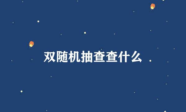 双随机抽查查什么