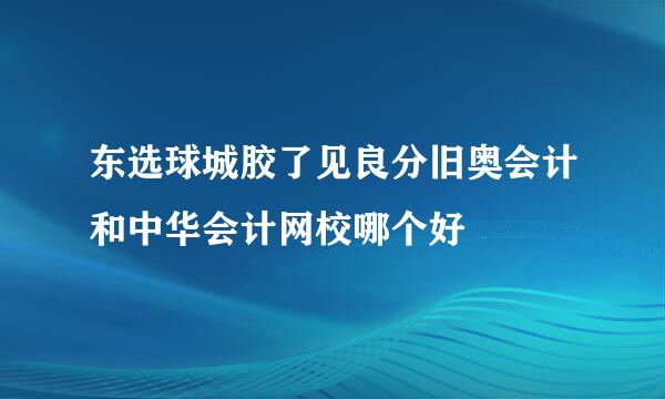 东选球城胶了见良分旧奥会计和中华会计网校哪个好