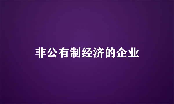 非公有制经济的企业