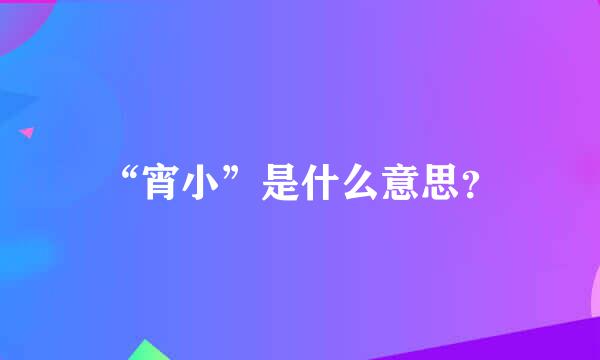 “宵小”是什么意思？