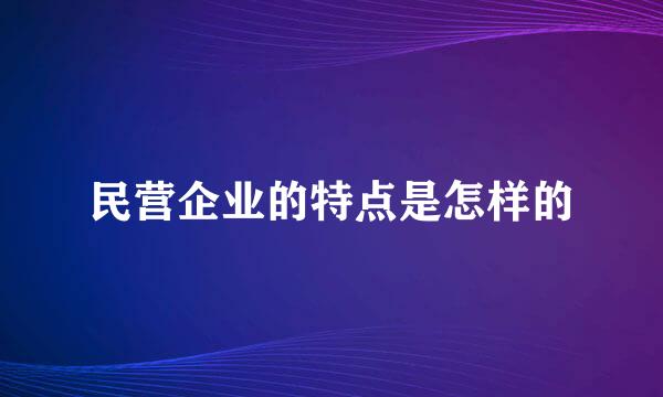 民营企业的特点是怎样的