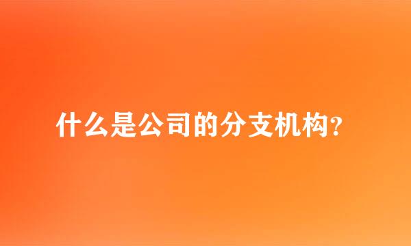 什么是公司的分支机构？