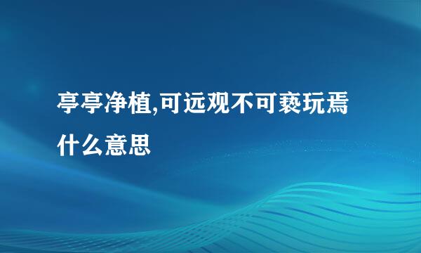 亭亭净植,可远观不可亵玩焉什么意思