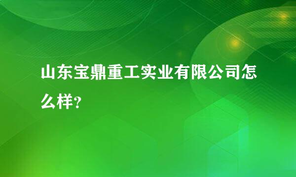 山东宝鼎重工实业有限公司怎么样？