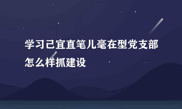 学习己宜直笔儿毫在型党支部怎么样抓建设