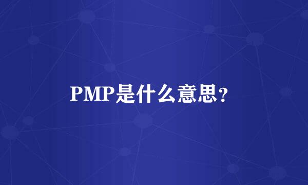 PMP是什么意思？