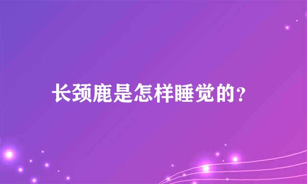 长颈鹿是怎样睡觉的？