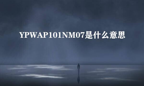 YPWAP101NM07是什么意思